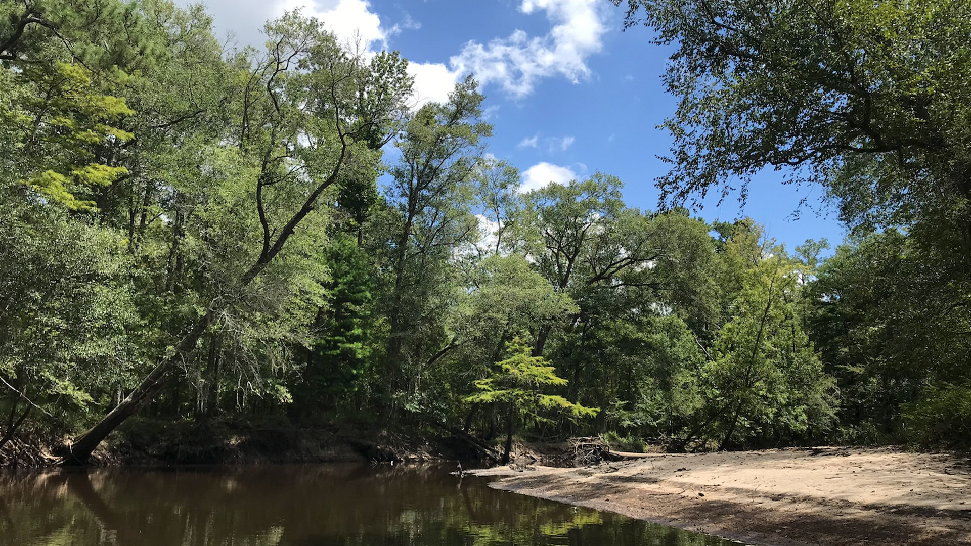 Home Altamaha Riverkeeper